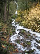 11.11.06 Waukeena Multnomah Falls 006 